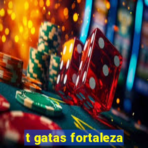 t gatas fortaleza